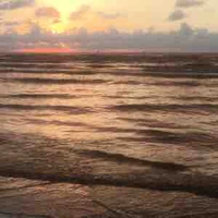 All ( trừ ai thù trừ )