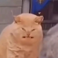 Tg nìii🫶
