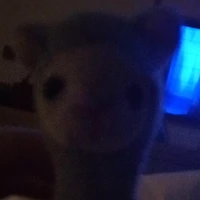 T/g thèm ăn Chance