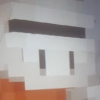 Simon_LHMS