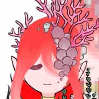 Cả lớp 