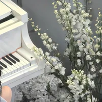 cân mọi nhân vật