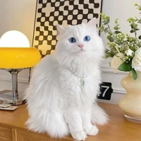 Sứa