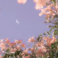 T/G[Suối]