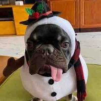 BonBon