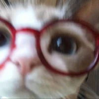 Nhân Vật Tổng Hợp