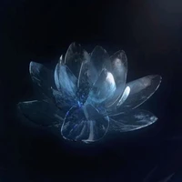 NVP
