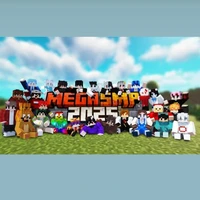 Mega smp 2025