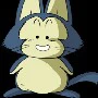 Puar