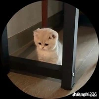 tg nek mấy bà