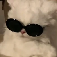 Bảnh 😎