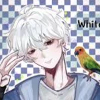 _𝐖𝐡𝐢𝐭𝐞_