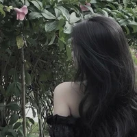 vi phạm Hương