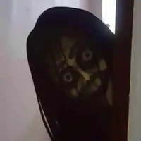 Ma
