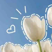 Nhóm em ( trừ ai thì trừ )