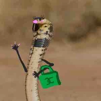 Xì nách🐍slay💅💅