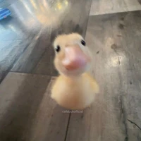 T/G Thích Ngược Viết Ngọt Đây