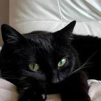 Kuro