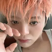 Bee híp hốp | tg