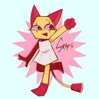 Scraps