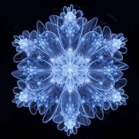 Hệ thống cấp cao 