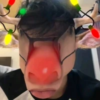 Báo
