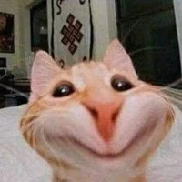 Tác giả cute phô mai que