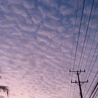 con tác giả qạc