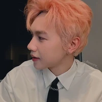 Nguyễn Thái Sơn