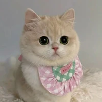 Hạt Dẻ