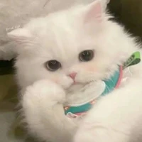 Sữa