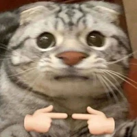 Tác giả trầm tính