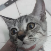ᴘᴜ ʙᴏɴ ᴄᴜᴛᴇ