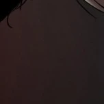 Nam nữ gì cũng đóng