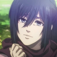 Mikasa ackerman