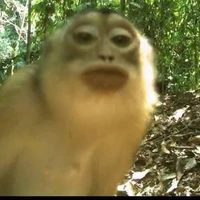 ☺