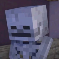 Skeleton