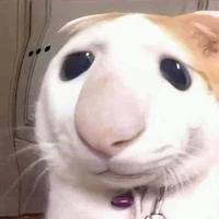 TG mun đây