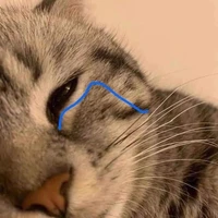 Oggy (tác giả)
