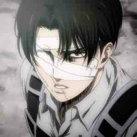 Levi Ackerman 