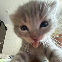 Con bé này keo!!