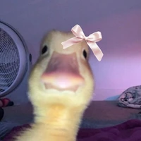 Tgia nè má