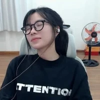 T giả