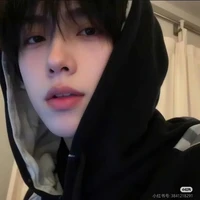 Nguyễn xuân lộc ( anh trai ruột của tlan