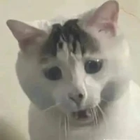 Nhân viên trog xưởng phim tưởng tượng