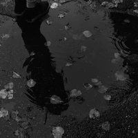 {Unknown}