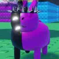 Noli 