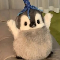 ????