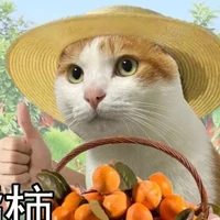 Anh đăng haybuditsjason