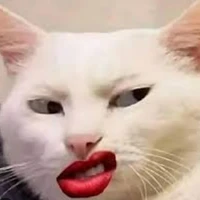 hệ thống
